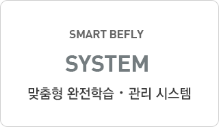 smart befly system 맞춤학습 시스템